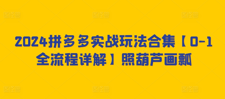 2024拼多多实战玩法合集【0-1全流程详解】照葫芦画瓢插图 2024拼多多实战玩法合集【0-1全流程详解】照葫芦画瓢