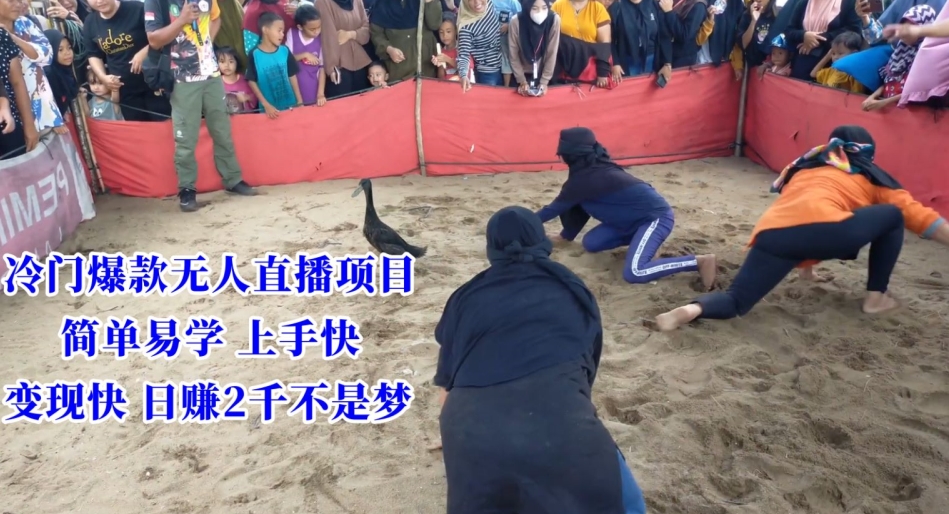 冷门爆款无人直播项目,简单易学上手快,变现快日赚2千不是梦【揭秘】插图 冷门爆款无人直播项目,简单易学上手快,变现快日赚2千不是梦【揭秘】