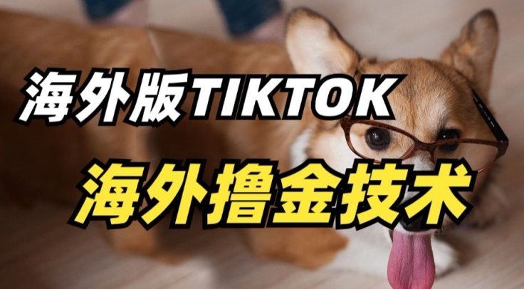 抖音海外版tiktok撸金技术,这个风口行业,赚钱真的不难【揭秘】插图 抖音海外版tiktok撸金技术,这个风口行业,赚钱真的不难【揭秘】