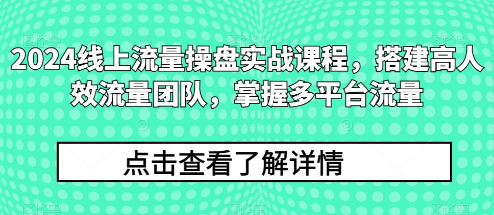 2024线上流量操盘实战课程,搭建高人效流量团队,掌握多平台流量插图 2024线上流量操盘实战课程,搭建高人效流量团队,掌握多平台流量