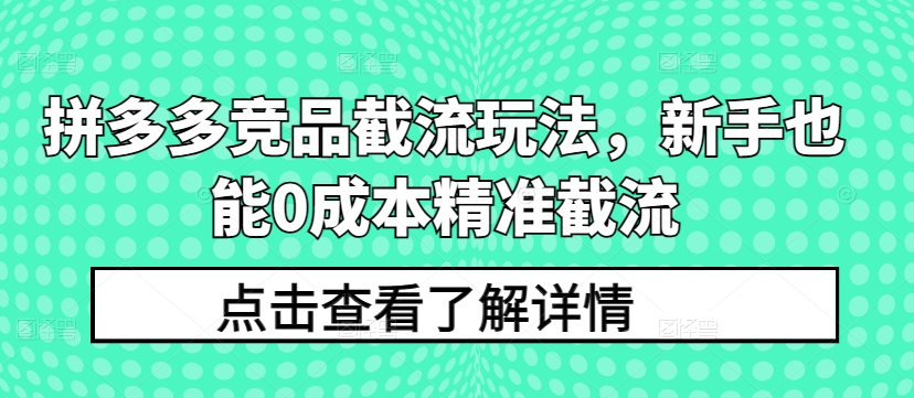 拼多多竞品截流玩法,新手也能0成本精准截流插图 拼多多竞品截流玩法,新手也能0成本精准截流