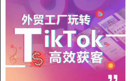 外贸工厂玩转TikTok高效获客,多种引流方式与账号定位技巧,拆解爆款短视频打造成功案例插图 外贸工厂玩转TikTok高效获客,多种引流方式与账号定位技巧,拆解爆款短视频打造成功案例