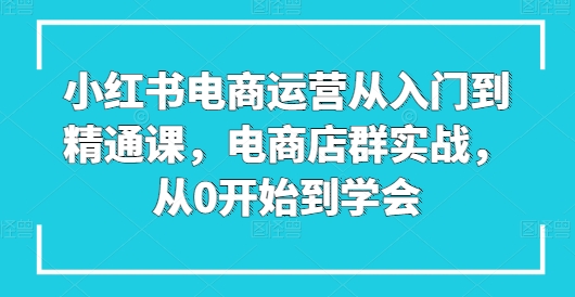 小红书电商运营从入门到精通课,电商店群实战,从0开始到学会插图 小红书电商运营从入门到精通课,电商店群实战,从0开始到学会
