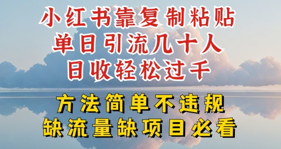小红书靠复制粘贴单日引流几十人目收轻松过千,方法简单不违规【揭秘】插图 小红书靠复制粘贴单日引流几十人目收轻松过千,方法简单不违规【揭秘】
