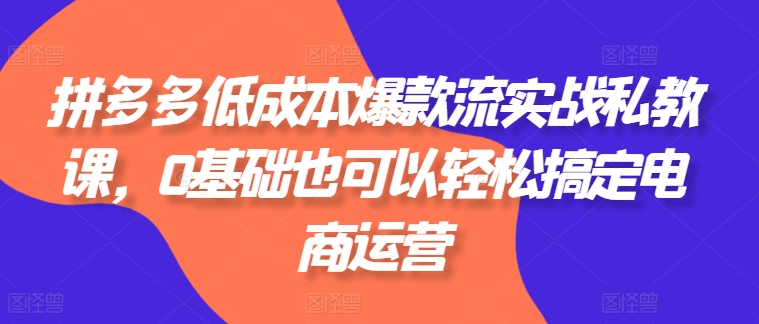 拼多多低成本爆款流实战私教课,0基础也可以轻松搞定电商运营插图 拼多多低成本爆款流实战私教课,0基础也可以轻松搞定电商运营