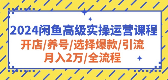 2024闲鱼高级实操运营课程:开店/养号/选择爆款/引流/月入2万/全流程插图 2024闲鱼高级实操运营课程:开店/养号/选择爆款/引流/月入2万/全流程