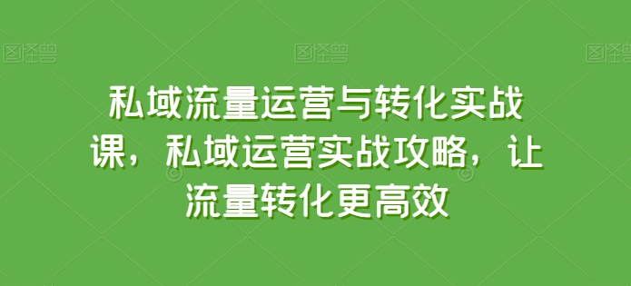私域流量运营与转化实战课,私域运营实战攻略,让流量转化更高效插图 私域流量运营与转化实战课,私域运营实战攻略,让流量转化更高效