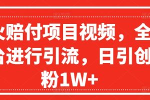 AI武侠视频，无脑打造爆款视频，小白无压力上手，无需任何技术，日收益500+【揭秘】