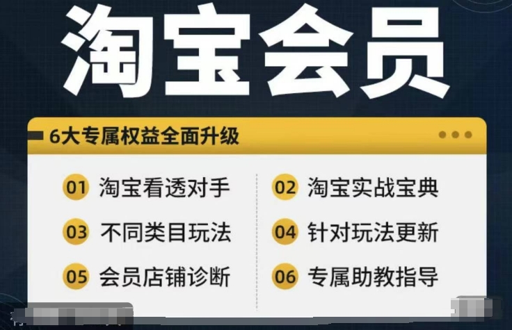淘宝会员【淘宝所有课程,全面分析对手】,初级到高手全系实战宝典插图 淘宝会员【淘宝所有课程,全面分析对手】,初级到高手全系实战宝典