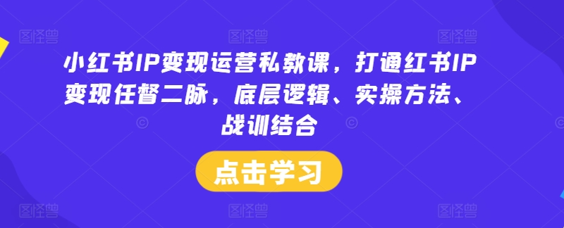 小红书IP变现运营私教课,打通红书IP变现任督二脉,底层逻辑、实操方法、战训结合插图 小红书IP变现运营私教课,打通红书IP变现任督二脉,底层逻辑、实操方法、战训结合
