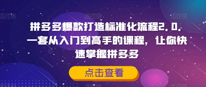 拼多多爆款打造标准化流程2.0,一套从入门到高手的课程,让你快速掌握拼多多插图 拼多多爆款打造标准化流程2.0,一套从入门到高手的课程,让你快速掌握拼多多