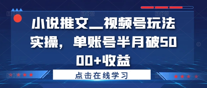 小说推文—视频号玩法实操,单账号半月破5000+收益插图 小说推文—视频号玩法实操,单账号半月破5000+收益