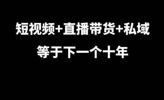 短视频+直播带货+私域等于下一个十年,大佬7年实战经验总结插图 短视频+直播带货+私域等于下一个十年,大佬7年实战经验总结