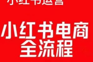 红薯电商实操课，小红书电商全流程
