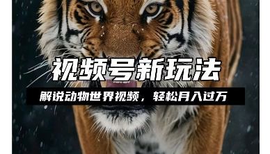 利用动物世界解说视频,赚分成计划收益,轻松月入过W,操作简单【揭秘】插图 利用动物世界解说视频,赚分成计划收益,轻松月入过W,操作简单【揭秘】