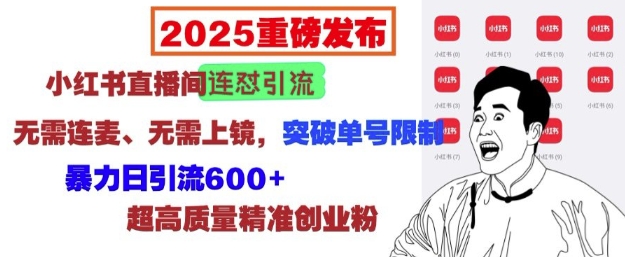 2025重磅发布:小红书直播间连怼引流,无需连麦、无需上镜,突破单号限制,暴力日引流600+插图 2025重磅发布:小红书直播间连怼引流,无需连麦、无需上镜,突破单号限制,暴力日引流600+
