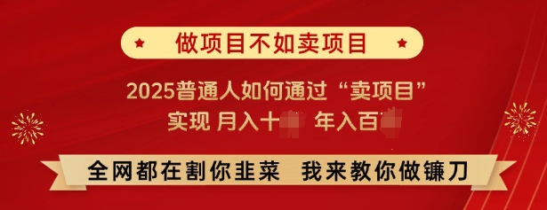 必看,做项目不如卖项目,2025普通人如何通过“卖项目”实现月入十个,年入百个插图 必看,做项目不如卖项目,2025普通人如何通过“卖项目”实现月入十个,年入百个