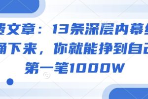 付费文章：13条深层内幕统统背诵下来，你就能挣到自己的第一笔1000W