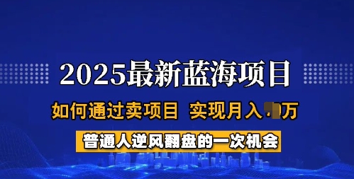 2025蓝海项目,普通人如何通过卖项目,实现月入过W,全过程【揭秘】插图 2025蓝海项目,普通人如何通过卖项目,实现月入过W,全过程【揭秘】