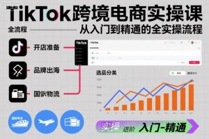 TikTok跨境电商实操课，从入门到精通的全实操流程