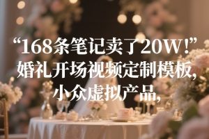 抖音快手视频号全平台剪辑+数字人直播实战课，从零到精通，快速实现短视频变现(更新2026年)​